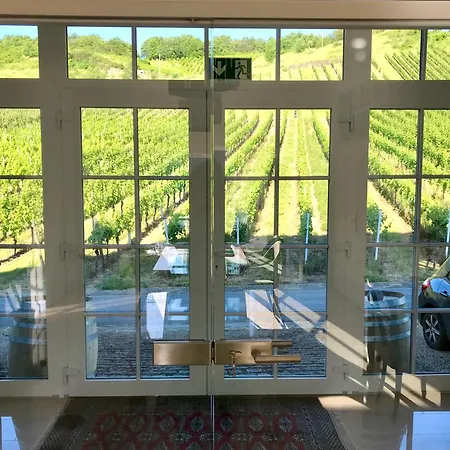 Apartment Klein&fein Für Nach Dem Wein Bei Wein-&sekthaus Dillé Neumagen-Dhron