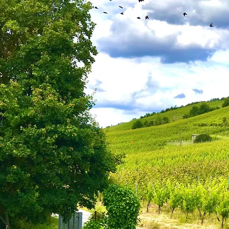 Klein&fein Für Nach Dem Wein Bei Wein-&sekthaus Dillé Neumagen-Dhron