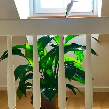 Klein&fein Für Nach Dem Wein Bei Wein-&sekthaus Dillé * Neumagen-Dhron