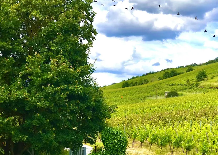 Klein&fein Für Nach Dem Wein Bei Wein-&sekthaus Dillé Neumagen-Dhron