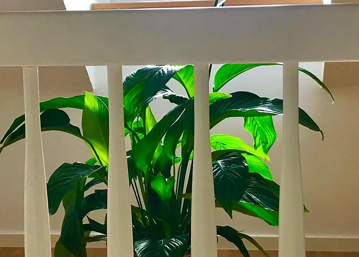 Klein&fein Für Nach Dem Wein Bei Wein-&sekthaus Dillé * Neumagen-Dhron